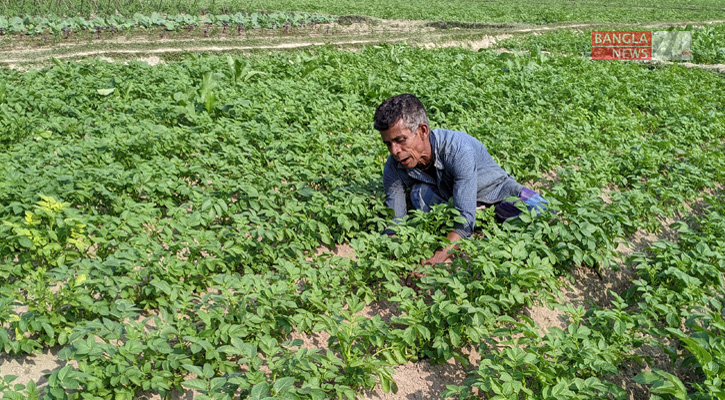 ‘চোর’ উপেক্ষা করে কৃষিতেই স্বপ্ন যে কৃষকের